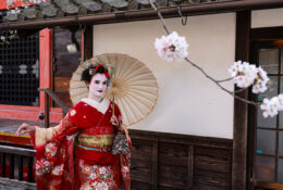 Japan_Sakura_2025 (63/79)